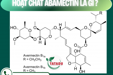HOẠT CHẤT ABAMECTIN LÀ GÌ? – CÔNG TY TNHH TATADU