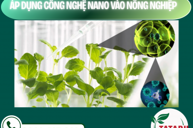 ÁP DỤNG CÔNG NGHỆ NANO VÀO NÔNG NGHIỆP – CÔNG TY TNHH TATADU