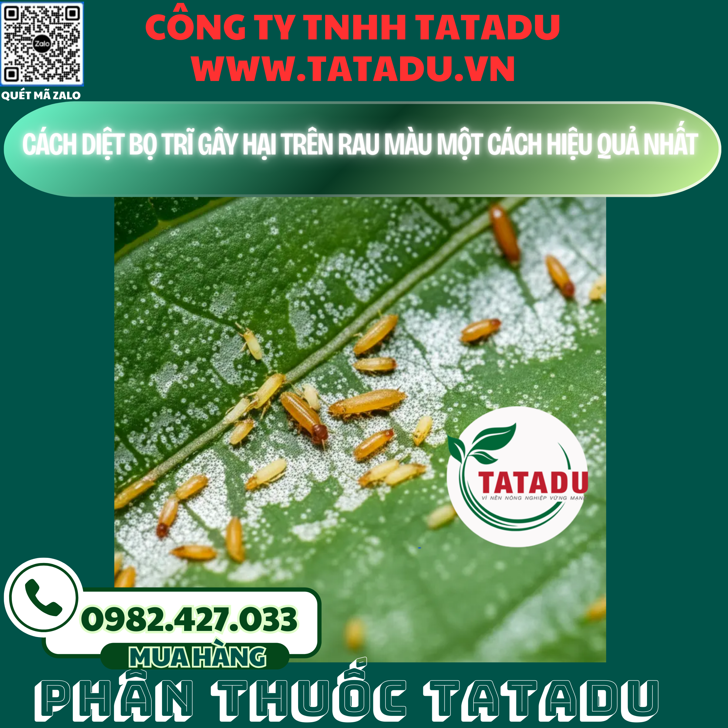 CACH DIET BO TRI GAY HAI TREN RAU MAU MOT CACH HIEU QUA NHAT