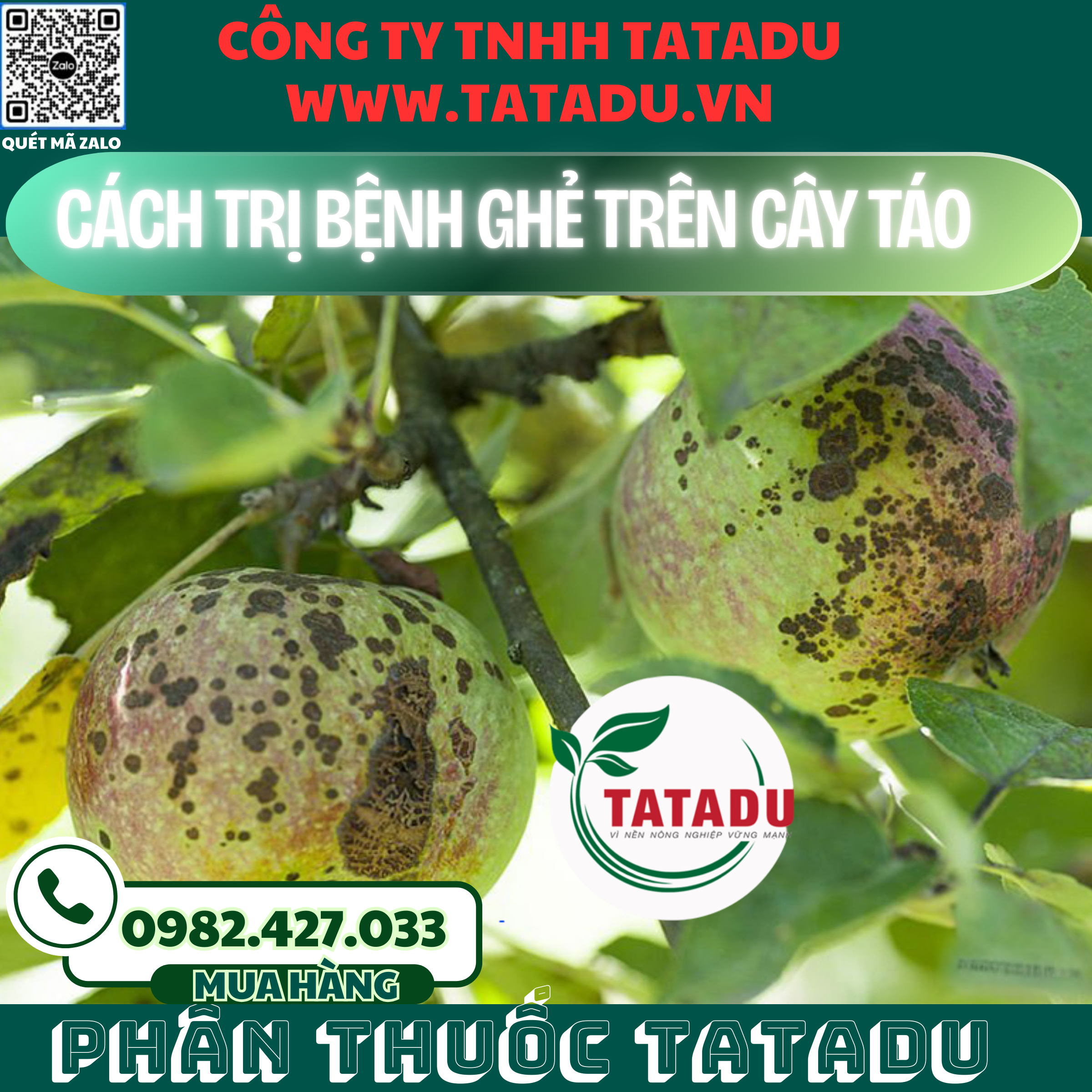 CACH TRI BENH GHE TREN CAY TAO