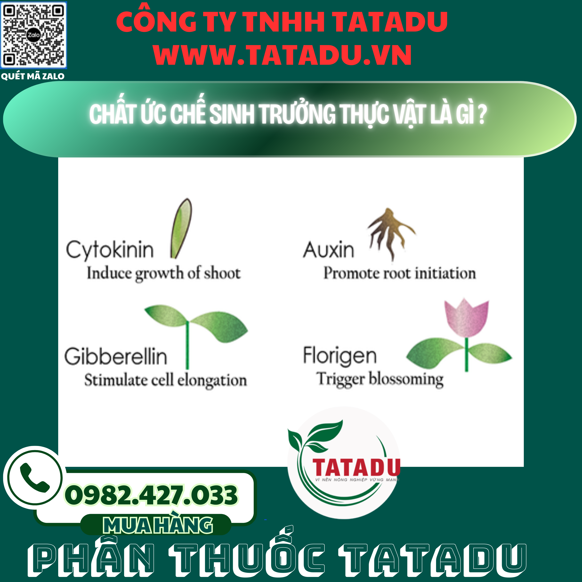 CHAT UC CHE SINH TRUONG THUC VAT LA GI