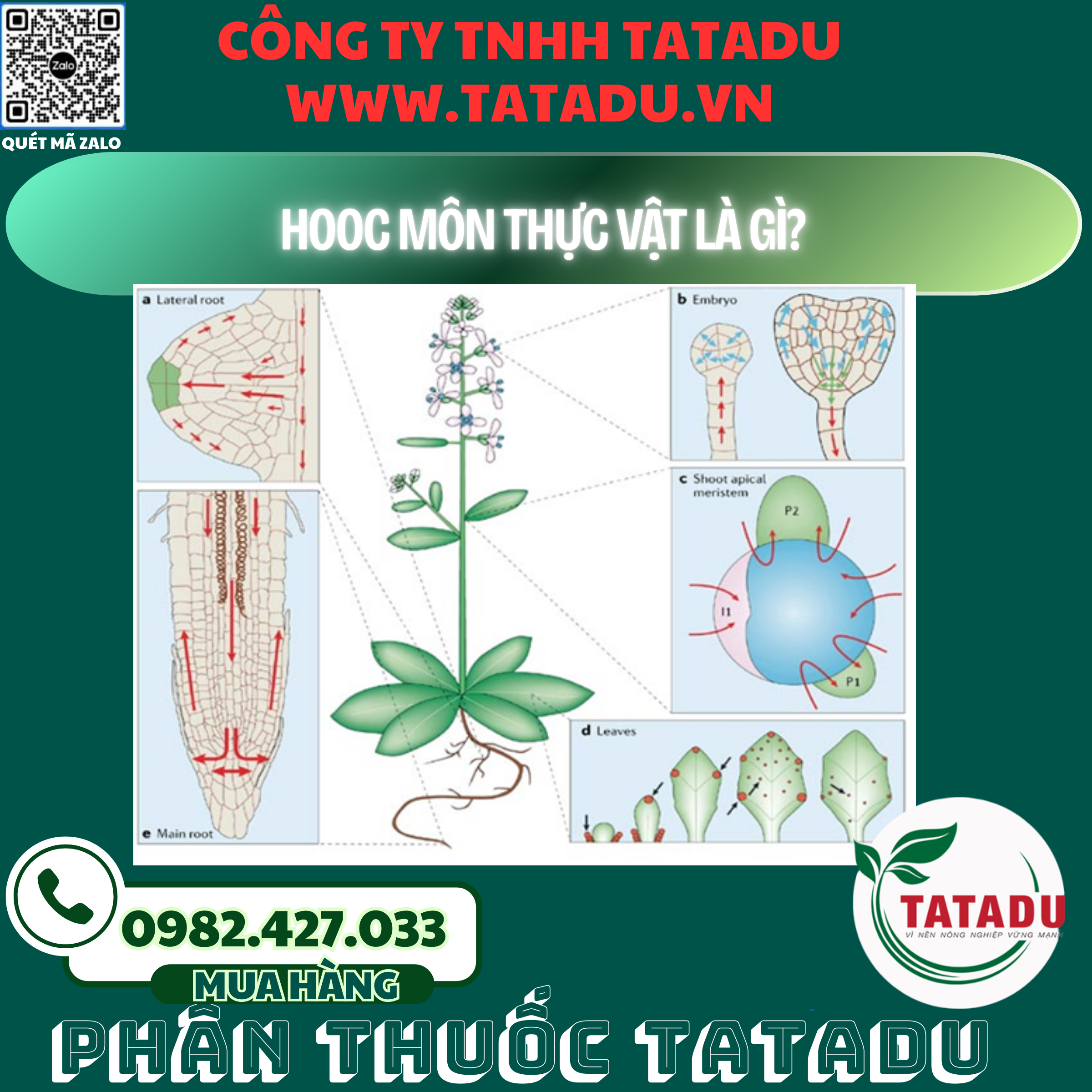 HOOC MON THUC VAT LA GI