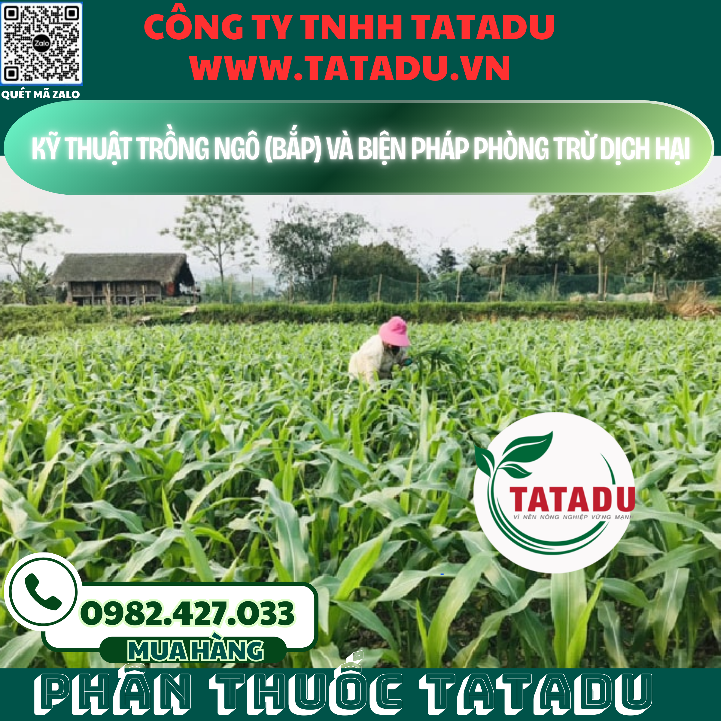 KY THUAT TRONG NGO BAP VA BIEN PHAP PHONG TRU DICH HAI KY THUAT TRONG NGO BAP VA BIEN PHAP PHONG TRU DICH HAI