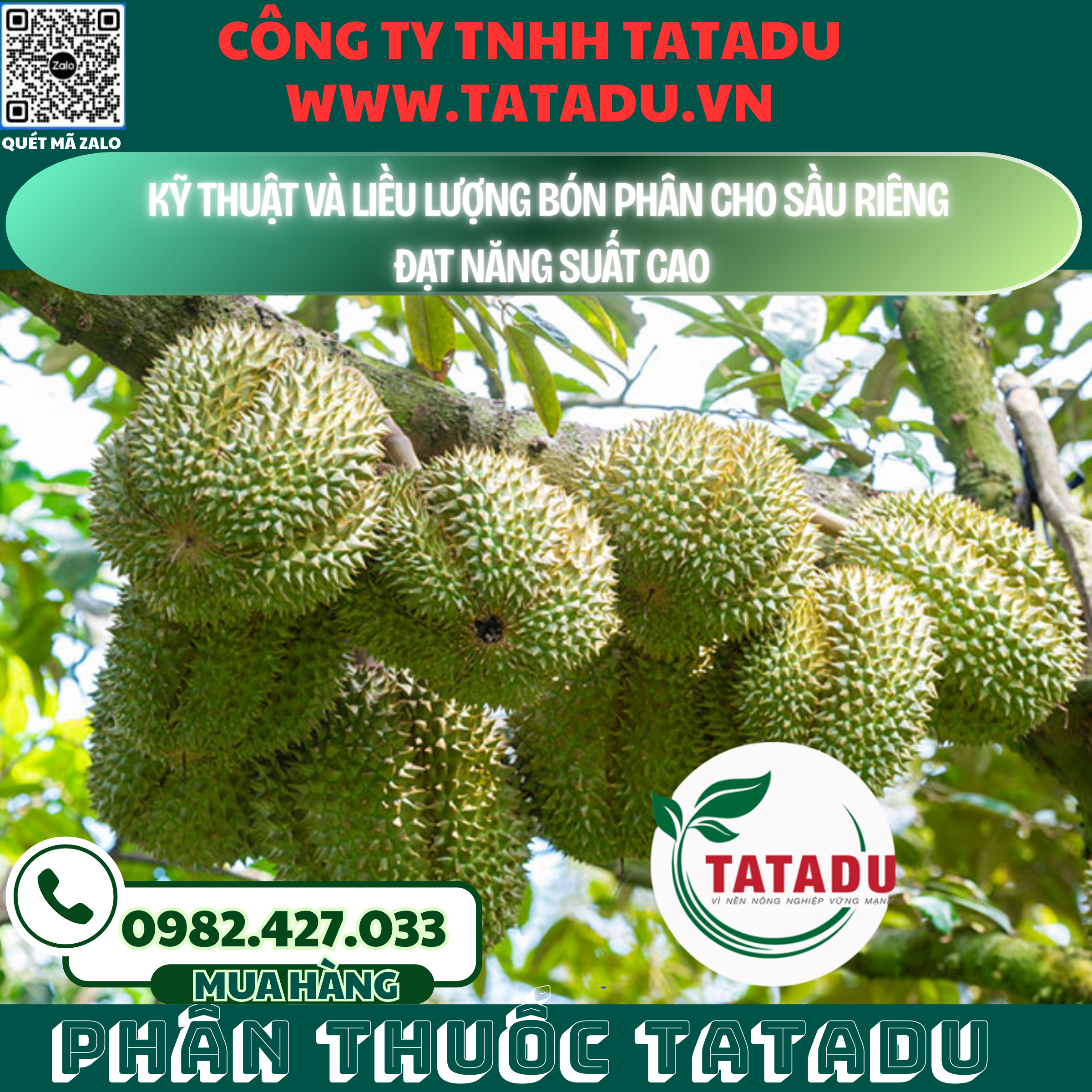 KY THUAT VA LIEU LUONG BON PHAN CHO SAU RIENG DAT NANG SUAT CAO KY THUAT VA LIEU LUONG BON PHAN CHO SAU RIENG DAT NANG SUAT CAO