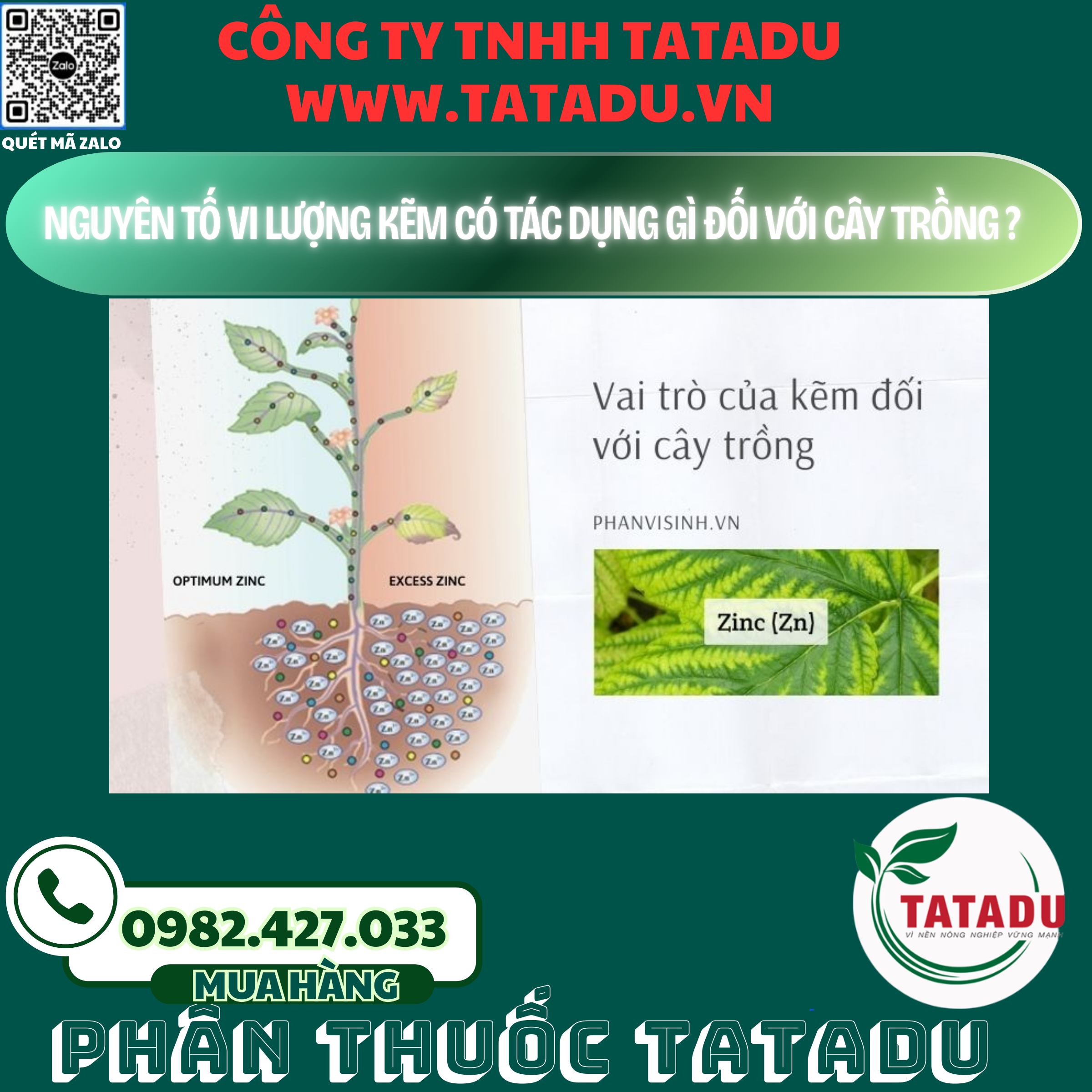 NGUYEN TO VI LUONG KEM CO TAC DUNG GI DOI VOI CAY TRONG