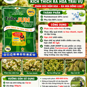TOBA JUM 20WP