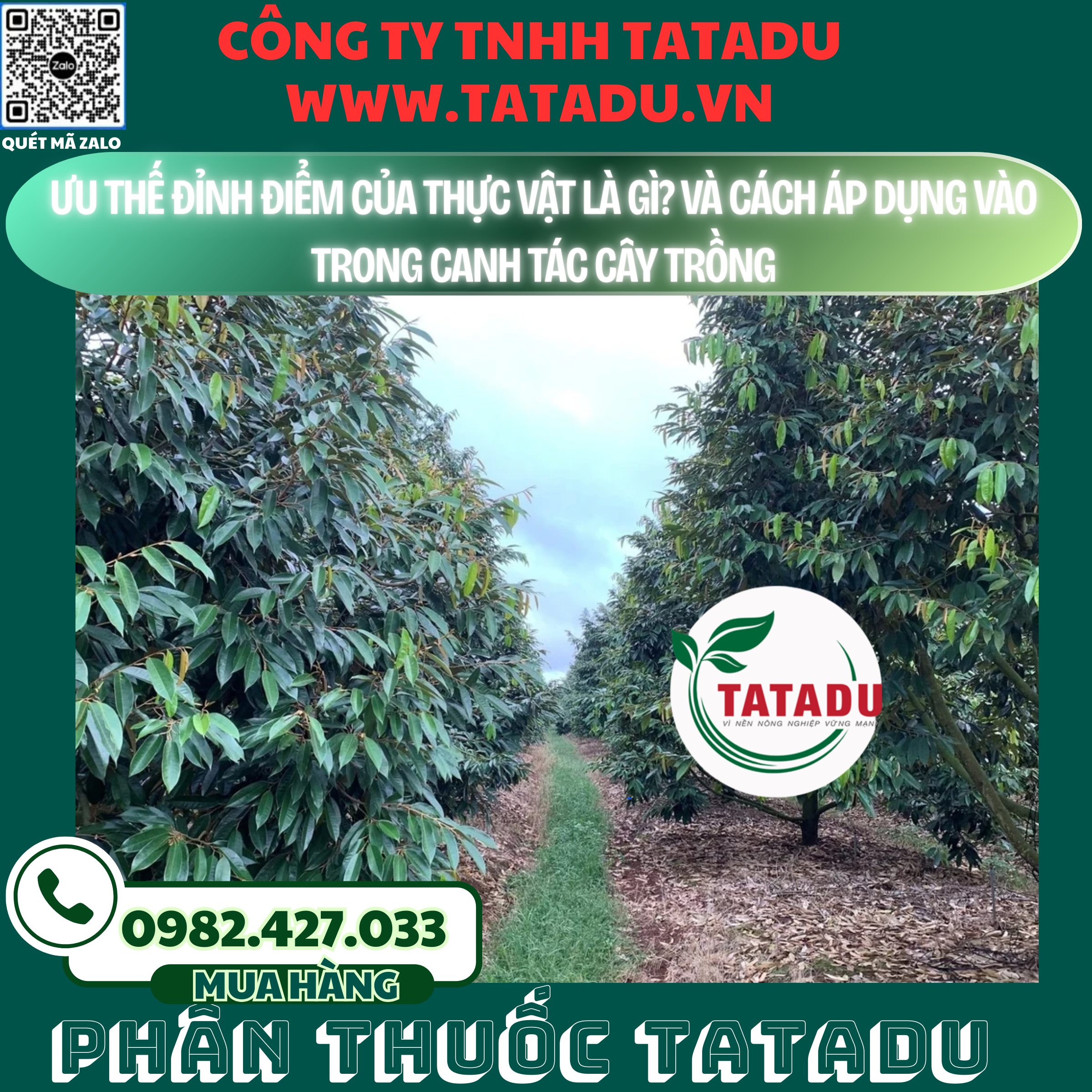 UU THE DINH DIEM CUA THUC VAT LA GI VA CACH AP DUNG VAO TRONG CANH TAC CAY TRONG