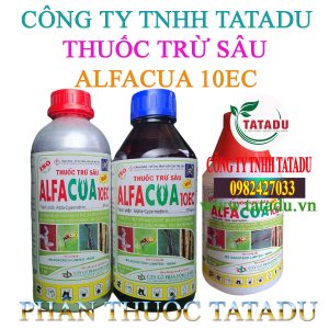 ALFACUA 10EC