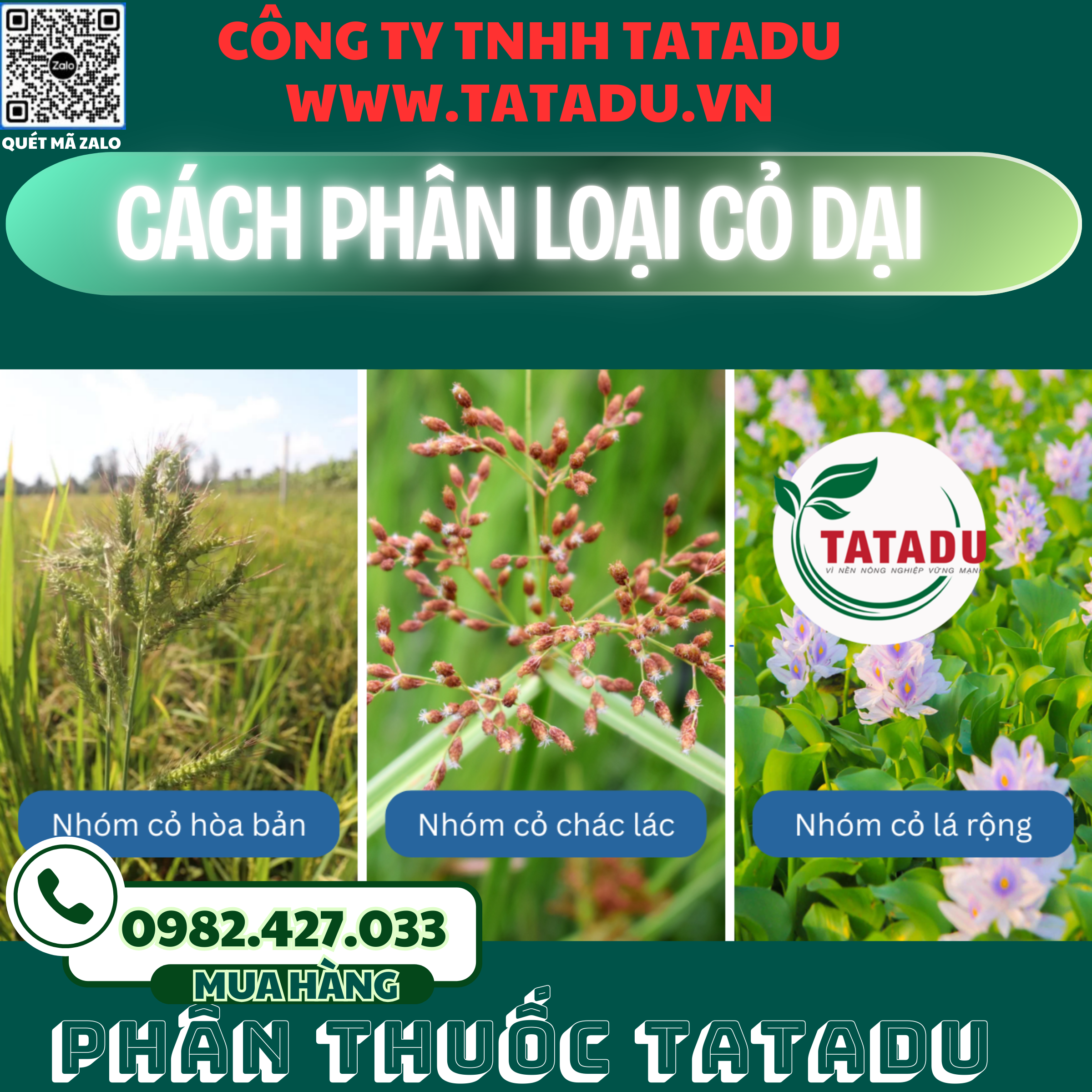 CACH PHAN LOAI CO DAI