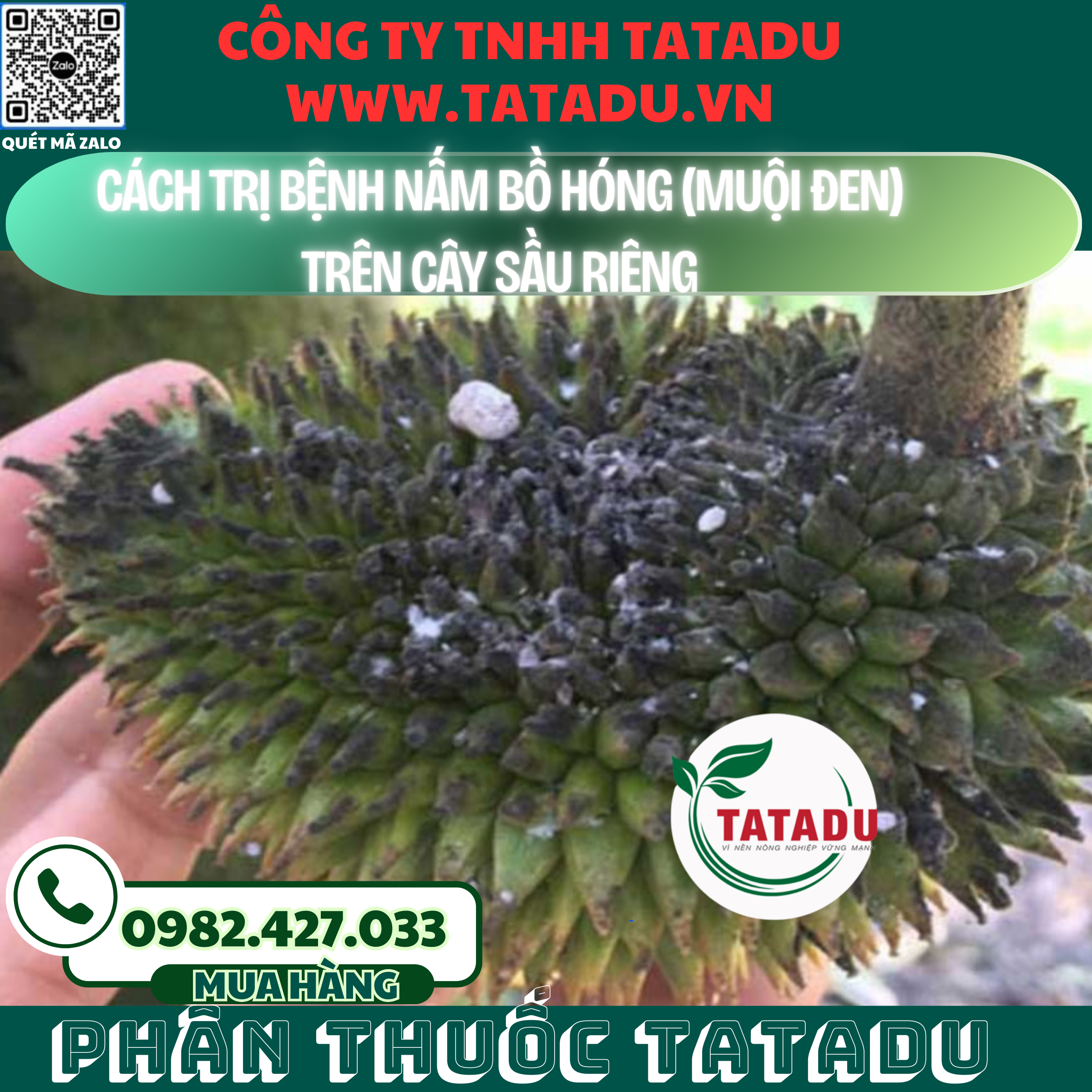 CACH TRI BENH NAM BO HONG MUOI DEN TREN CAY SAU RIENG CACH TRI BENH NAM BO HONG MUOI DEN TREN CAY SAU RIENG