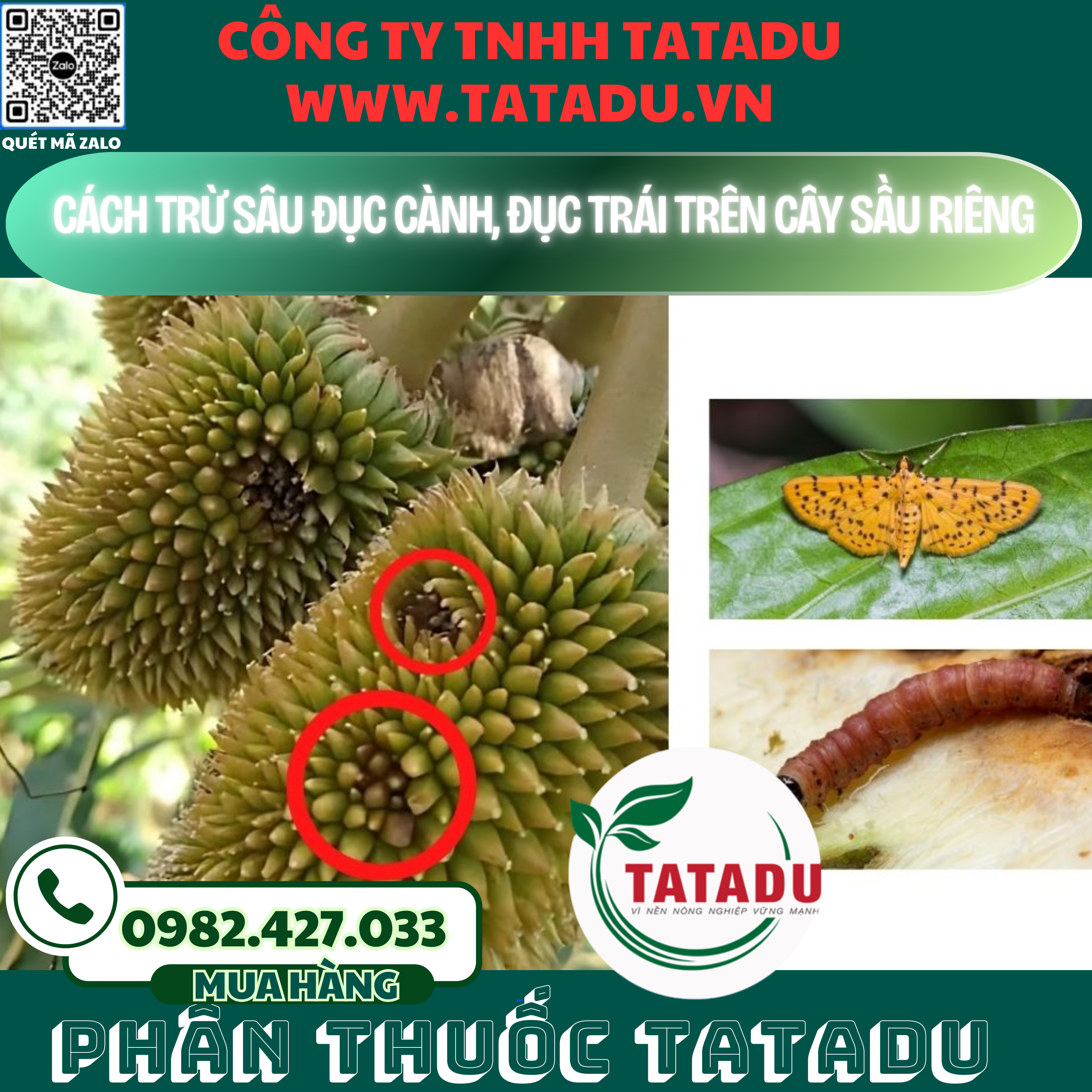 CACH TRU SAU DUC CANH DUC TRAI TREN CAY SAU RIENG
