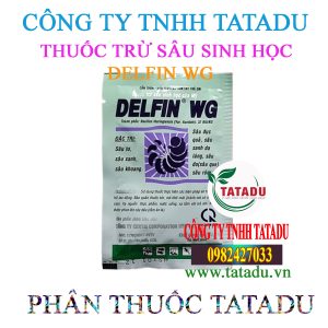 DELFIN WG