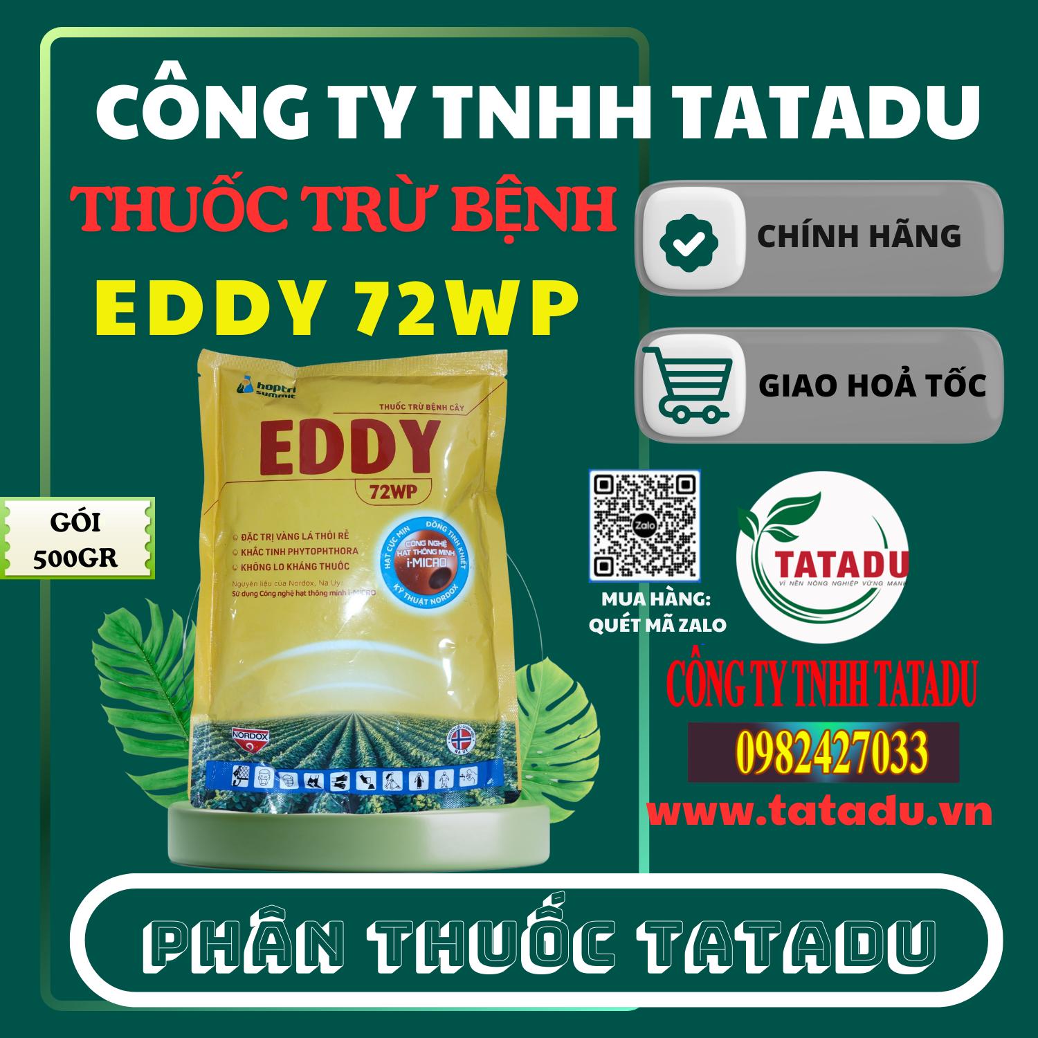 EDDY 72WP GOI 500GR