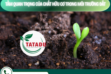 TẦM QUAN TRỌNG CỦA CHẤT HỮU CƠ TRONG MÔI TRƯỜNG ĐẤT – CÔNG TY TNHH TATADU