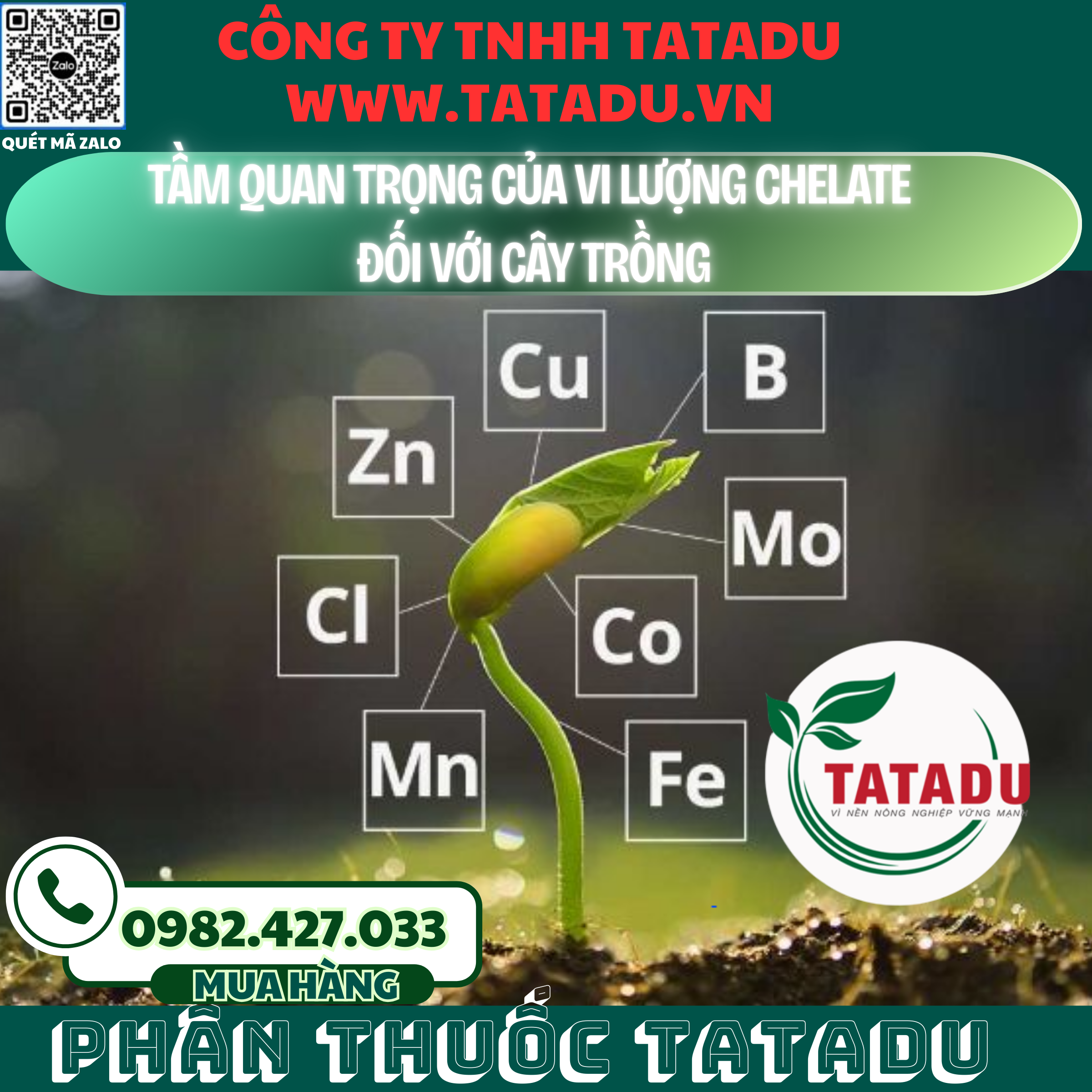 TAM QUAN TRONG CUA VI LUONG CHELATE DOI VOI CAY TRONG