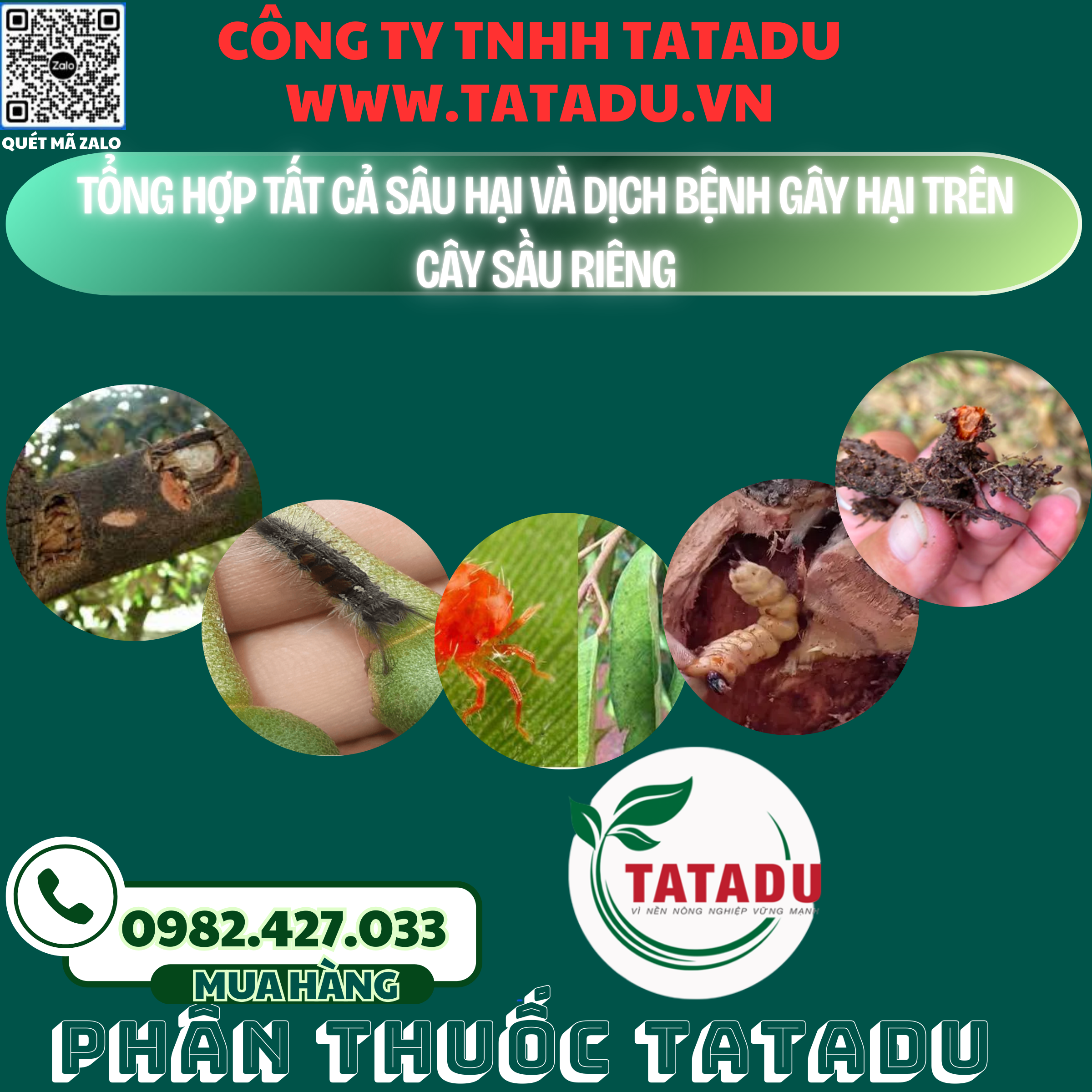 TONG HOP TAT CA SAU HAI VA DICH BENH GAY HAI TREN CAY SAU RIENG