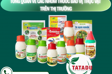 TỔNG QUAN VỀ CÁC NHÓM THUỐC BẢO VỆ THỰC VẬT TRÊN THỊ TRƯỜNG – CÔNG TY TNHH TATADU