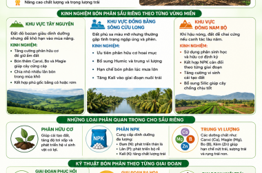 TỔNG HỢP MỘT SỐ KINH NGHIỆM BÓN PHÂN CHO CÂY SẦU RIÊNG TỪ CÁC VÙNG MIỀN – CÔNG TY TNHH TATADU