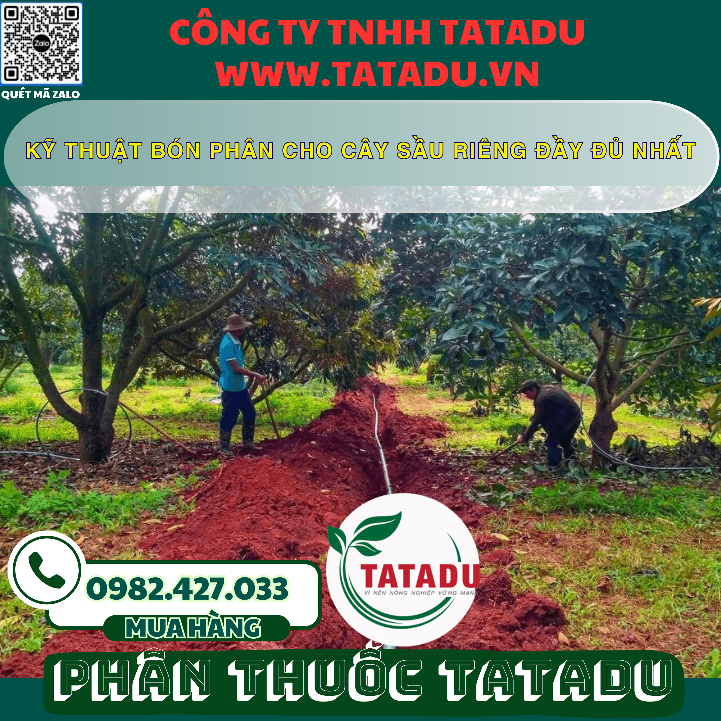 KY THUAT BON PHAN CHO CAY SAU RIENG DAY DU NHAT