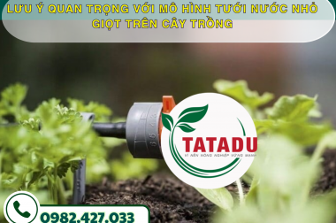 LƯU Ý QUAN TRỌNG VỚI MÔ HÌNH TƯỚI NƯỚC NHỎ GIỌT TRÊN CÂY TRỒNG – CÔNG TY TNHH TATADU