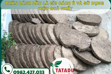 PHÂN BÁNH DẦU LÀ GÌ? CÁCH Ủ VÀ SỬ DỤNG HIỆU QUẢ NHẤT – CÔNG TY TNHH TATADU