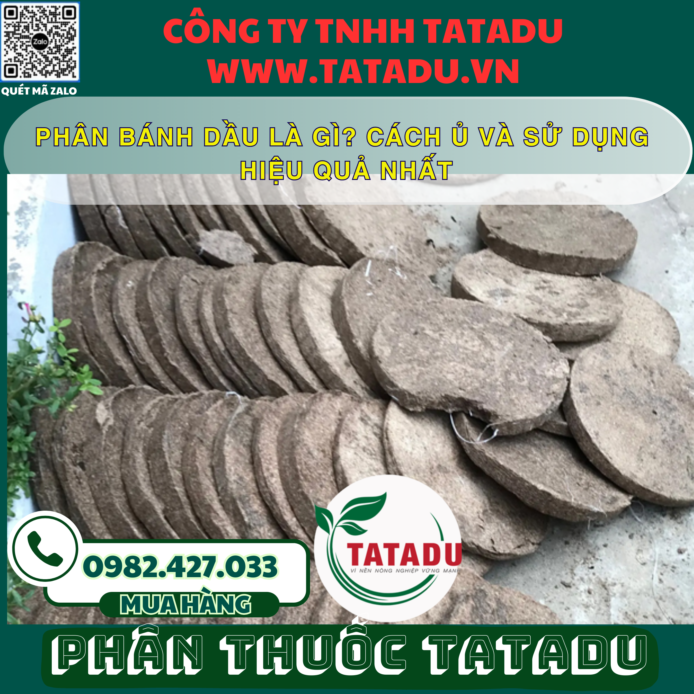 PHAN BANH DAU LA GI CACH U VA SU DUNG HIEU QUA NHAT