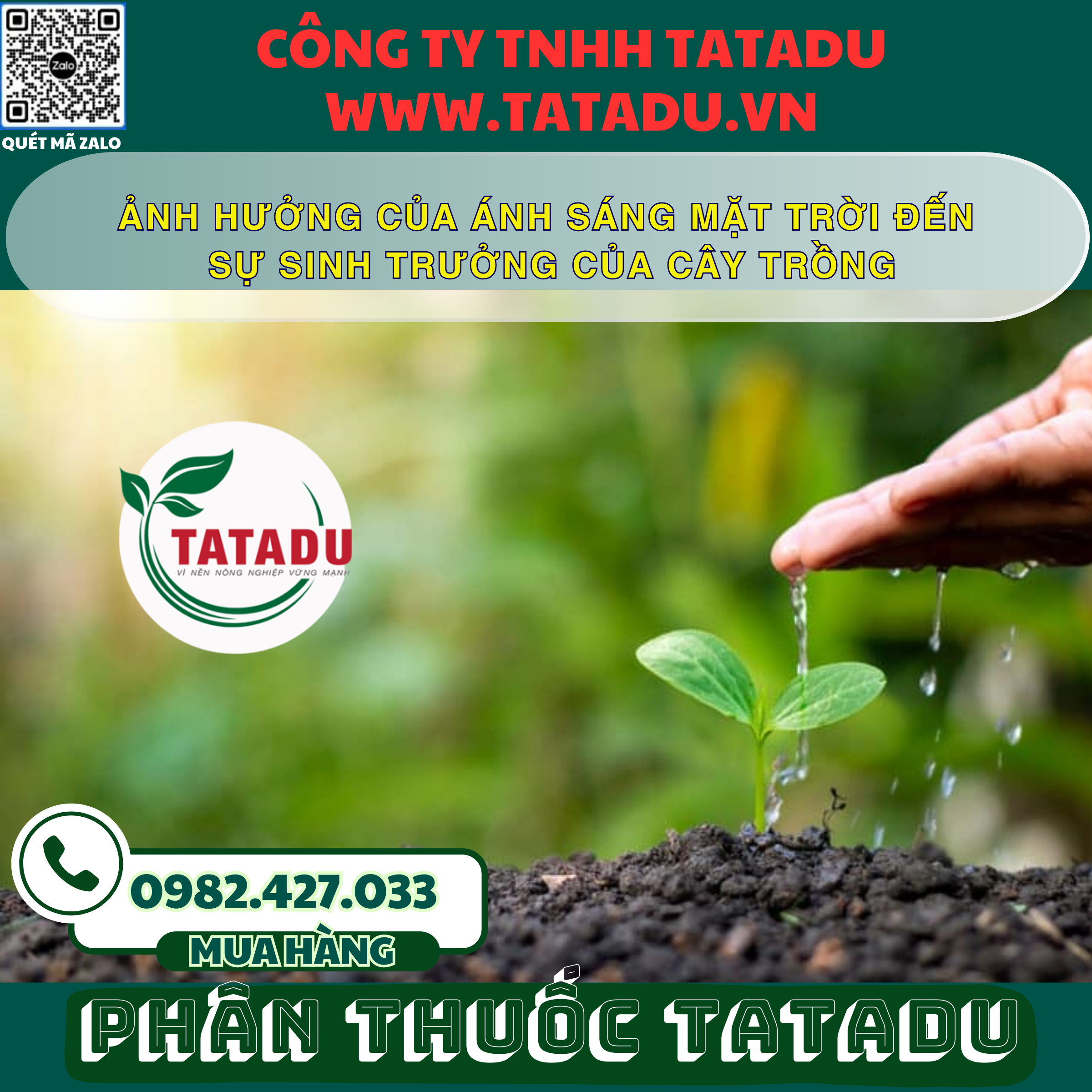 ANH HUONG CUA ANH SANG MAT TROI DEN SU SINH TRUONG CUA CAY TRONG