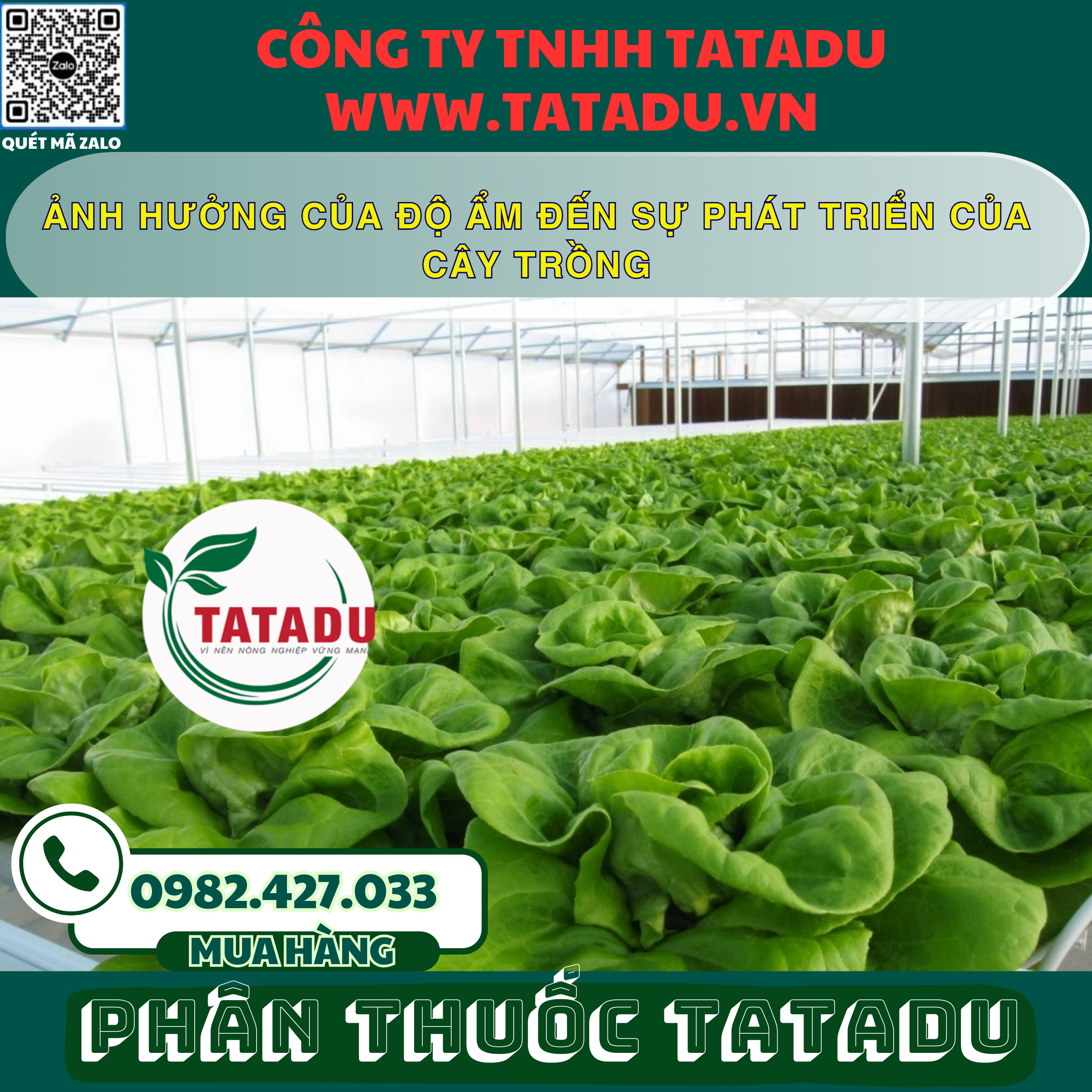 ANH HUONG CUA DO AM DEN SU PHAT TRIEN CUA CAY TRONG