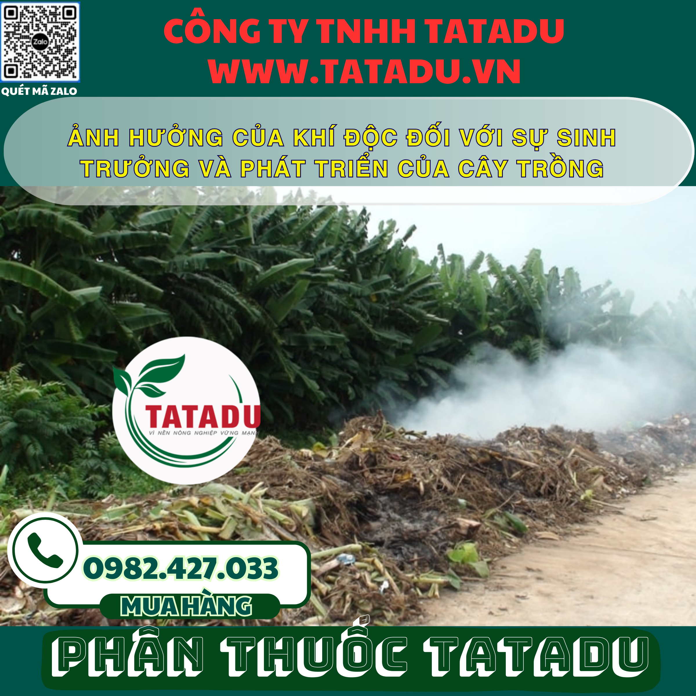 ANH HUONG CUA KHI DOC DOI VOI SU SINH TRUONG VA PHAT TRIEN CUA CAY TRONG