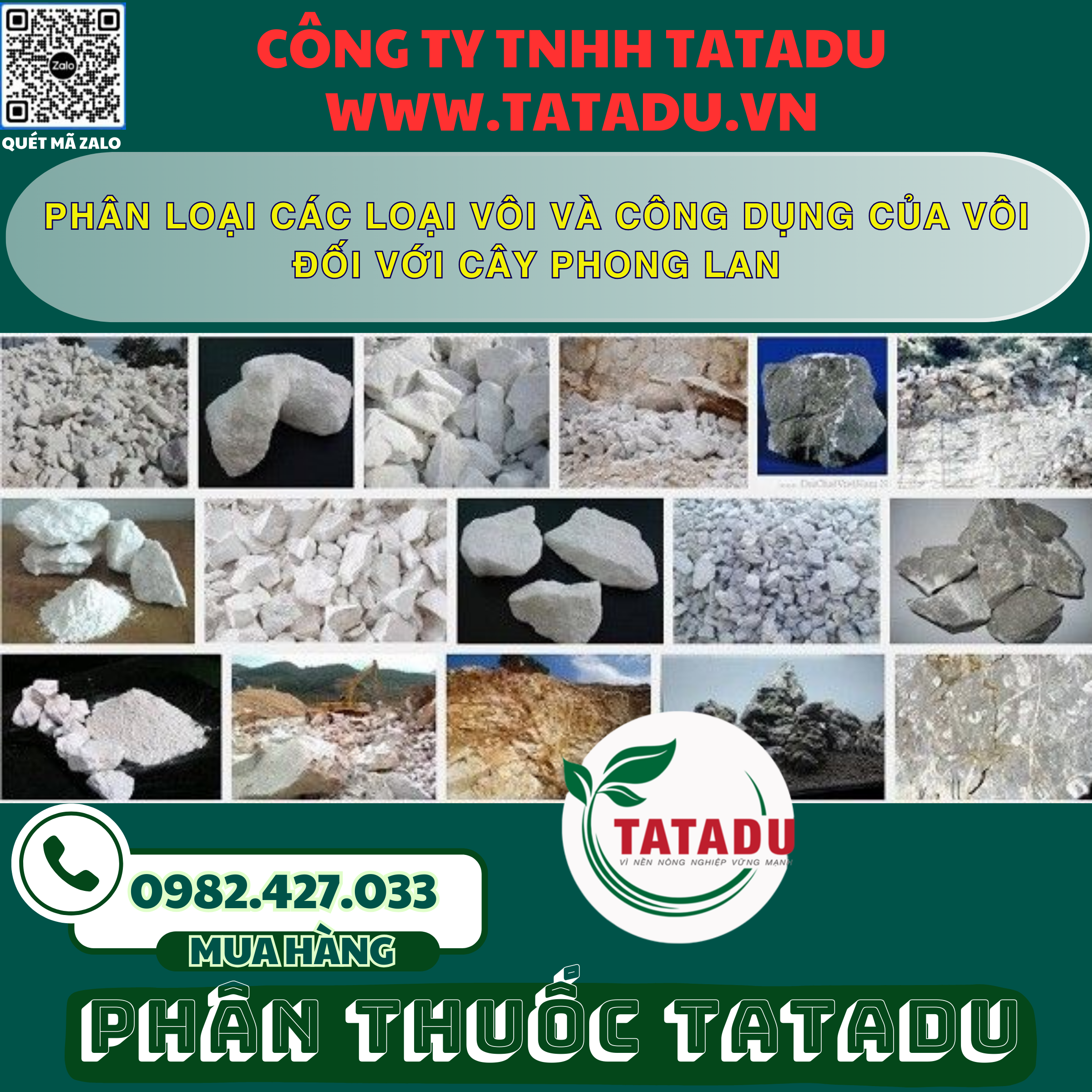PHAN LOAI CAC LOAI VOI VA CONG DUNG CUA VOI DOI VOI CAY PHONG LAN