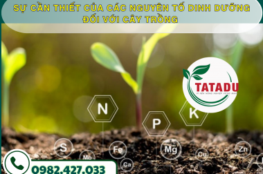 SỰ CẦN THIẾT CỦA CÁC NGUYÊN TỐ DINH DƯỠNG ĐỐI VỚI CÂY TRỒNG – CÔNG TY TNHH TATADU