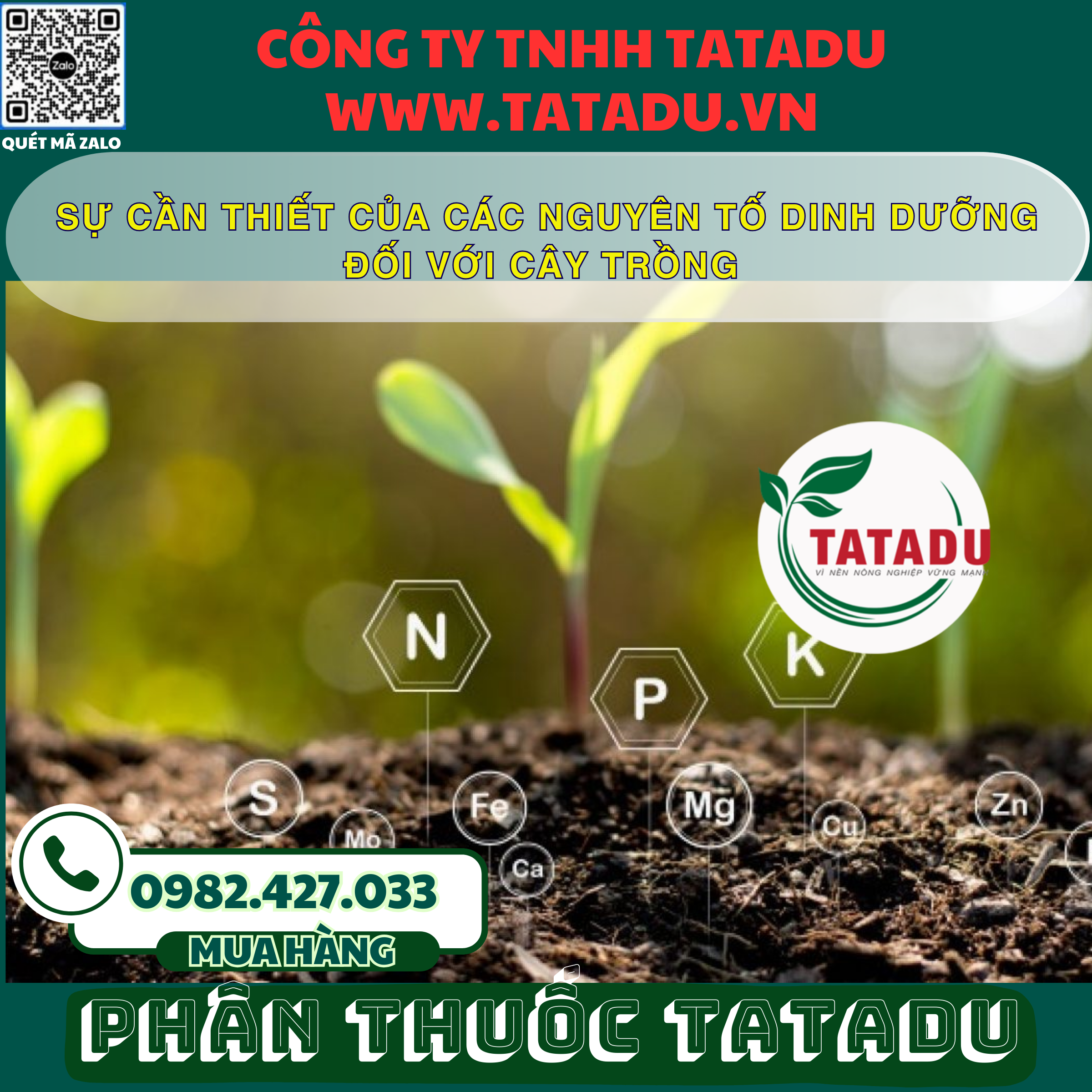 SU CAN THIET CUA CAC NGUYEN TO DINH DUONG DOI VOI CAY TRONG