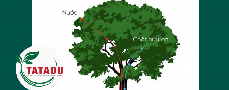 CAC YEU TO ANH HUONG DEN QUA TRINH HUT KHOANG