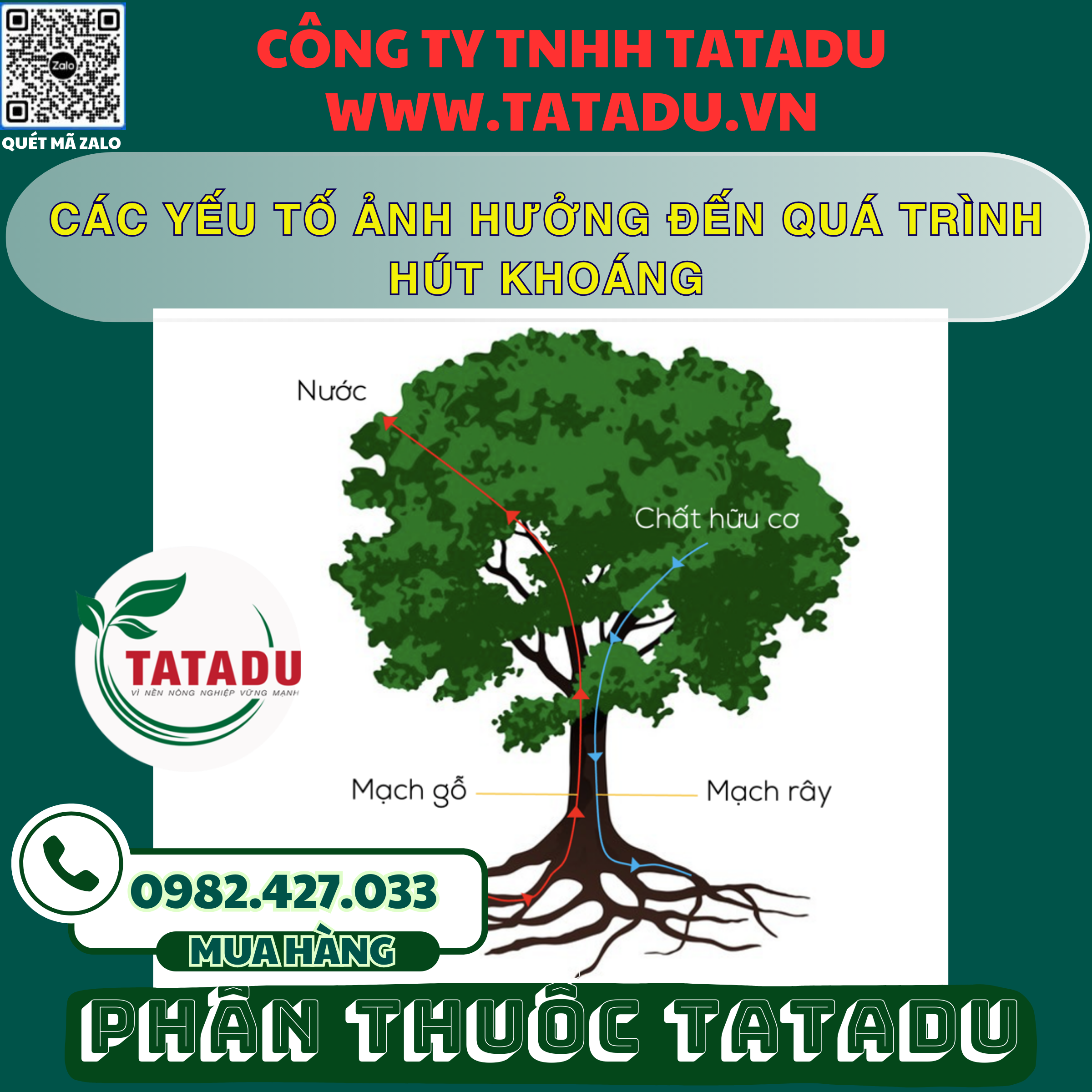 CAC YEU TO ANH HUONG DEN QUA TRINH HUT KHOANG
