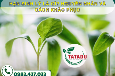 HẠN SINH LÝ LÀ GÌ? NGUYÊN NHÂN VÀ CÁCH KHẮC PHỤC – CÔNG TY TNHH TATADU