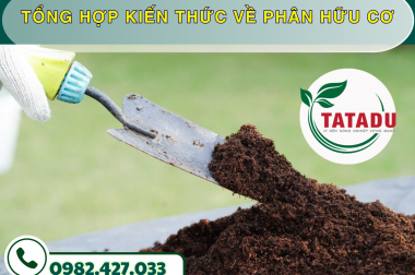 TỔNG HỢP KIẾN THỨC VỀ PHÂN HỮU CƠ – CÔNG TY TNHH TATADU