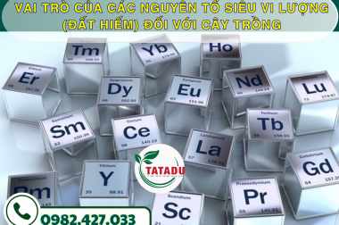 VAI TRÒ CỦA CÁC NGUYÊN TỐ SIÊU VI LƯỢNG (ĐẤT HIẾM) ĐỐI VỚI CÂY TRỒNG – CÔNG TY TNHH TATADU