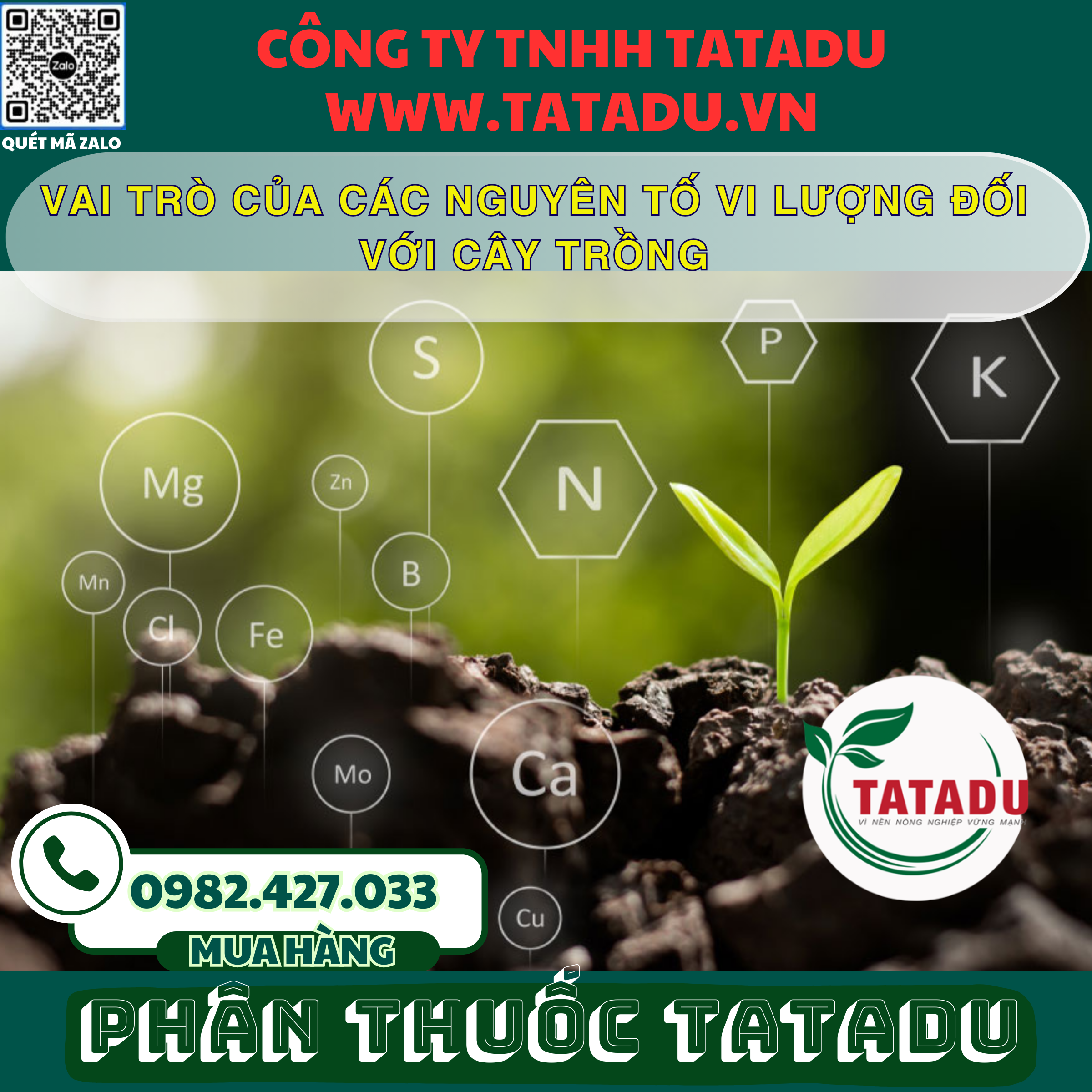 VAI TRO CUA CAC NGUYEN TO VI LUONG DOI VOI CAY TRONG