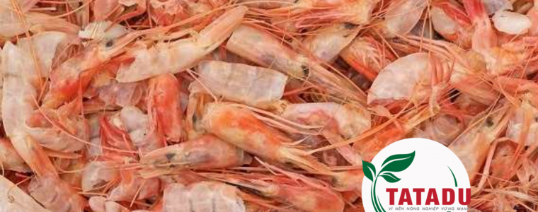 CHITOSAN NGUYEN LIEU QUY TU VO TOM CUA