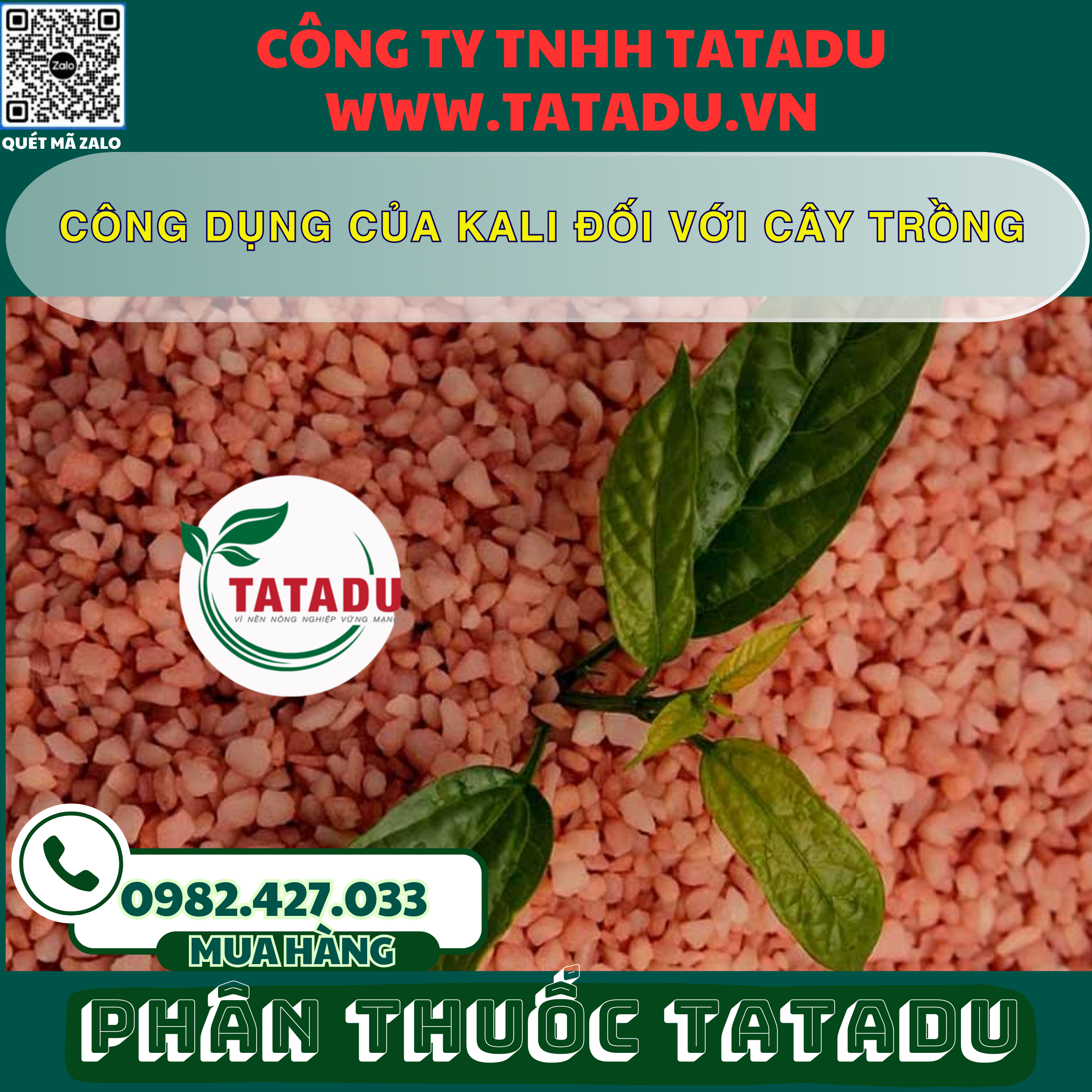 CONG DUNG CUA KALI DOI VOI CAY TRONG