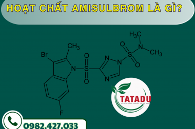 HOẠT CHẤT AMISULBROM LÀ GÌ? – CÔNG TY TNHH TATADU