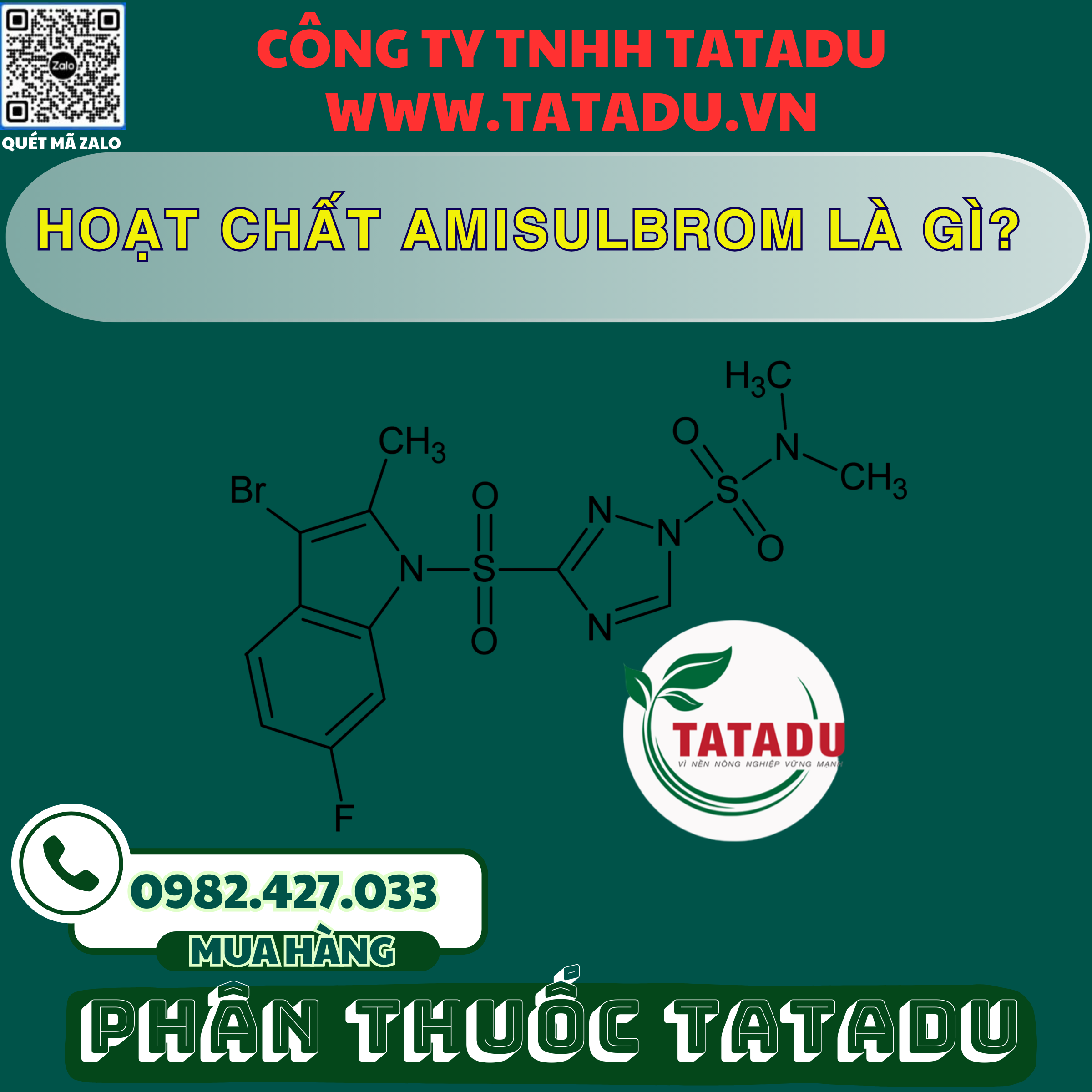 HOAT CHAT AMISULBROM LA GI