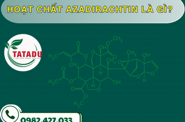 HOẠT CHẤT AZADIRACHTIN LÀ GÌ? – CÔNG TY TNHH TATADU