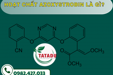HOẠT CHẤT AZOXYSTROBIN LÀ GÌ? – CÔNG TY TNHH TATADU