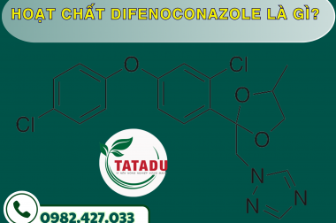 HOẠT CHẤT DIFENOCONAZOLE LÀ GÌ? – CÔNG TY TNHH TATADU
