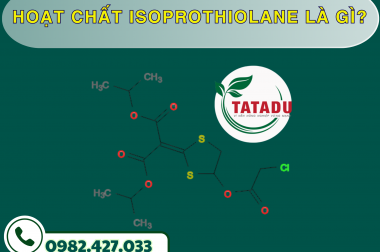 HOẠT CHẤT ISOPROTHIOLANE LÀ GÌ? – CÔNG TY TNHH TATADU