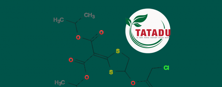 HOAT CHAT ISOPROTHIOLANE LA GI