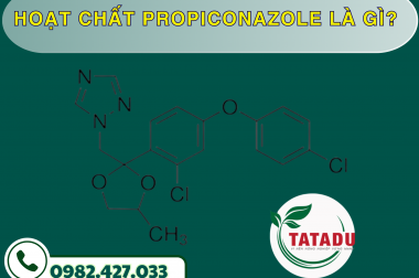 HOẠT CHẤT PROPICONAZOLE LÀ GÌ? – CÔNG TY TNHH TATADU