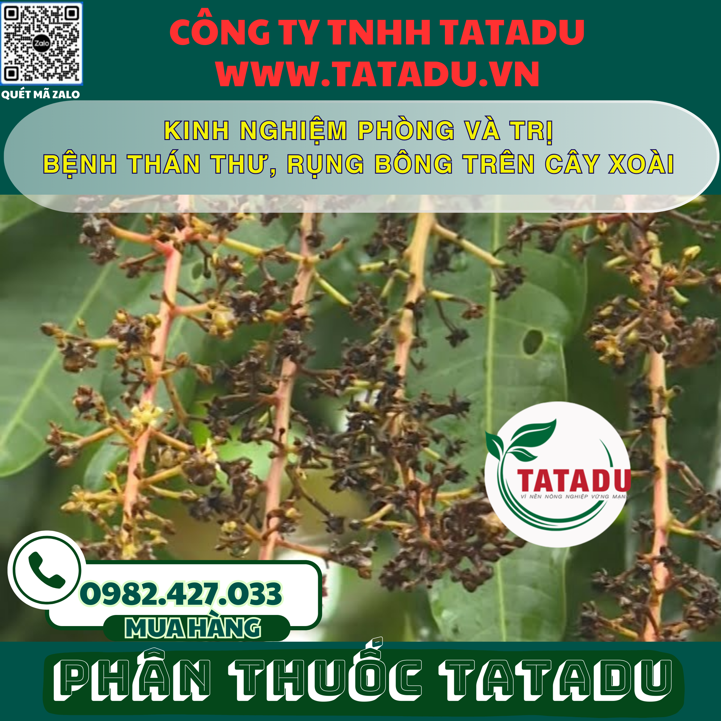 KINH NGHIEM PHONG VA TRI BENH THAN THU RUNG BONG TREN CAY XOAI