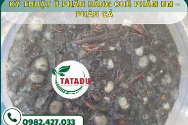 KỸ THUẬT Ủ PHÂN BẰNG CHẾ PHẨM EM – PHÂN CÁ – CÔNG TY TNHH TATADU